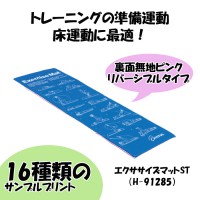 エクササイズマット H-9285 TOEI LIGHT トーエイライト 青 ピンク 準備運動 床運動 リバーシブル ストレッチマット 筋トレマット トレーニングマット ヨガマット