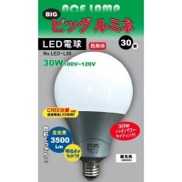  ŵ  led ŵ 100v ӥåߥ 30W  Ķ⵱ E26   饤 ۸ ȥɥ ɺ 