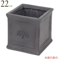 プランター 植木鉢 おしゃれ 鉢植え 四角 スクエアポットフォレスト 6号ポット British Gray グレー 横22×奥行22×高さ22 鉢 底穴あり
