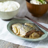 非常食 セット 備蓄 食糧 災害 食料 防災食 梅と生姜のサバ味噌煮 Deli 1袋単位 135g 318kcal 長期保存 ３年保存 IZAMESHI イザメシ 日本国産 地域 自宅 食卓 オフィス