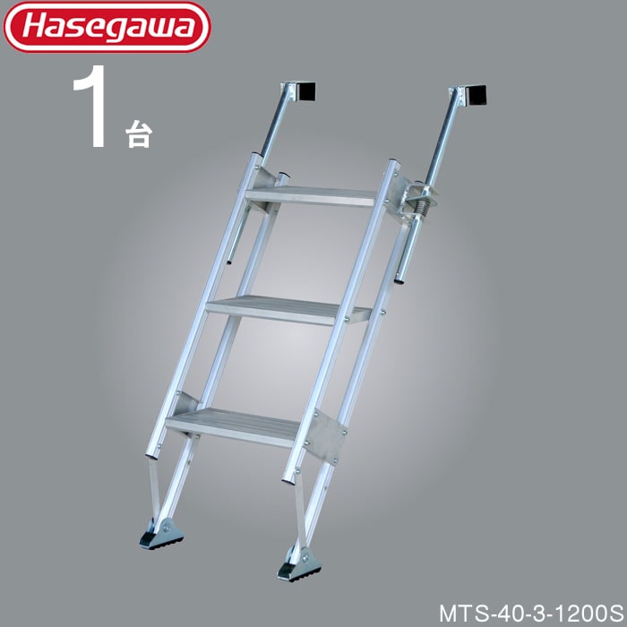 2段ハシゴ MAX約6メーター その2