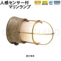 󥵡饤   ɱ ʹ󥵡饤 ؾ   LED ޥ ޥ饤  BH1000 AN FR LE SL LED 100V ŵ忧 ꥬ饹 ſ ֥饦  ӡ     