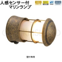 󥵡饤   ɱ ʹ󥵡饤 ؾ   LED ޥ ޥ饤  BH1010 AN FR LE SL LED 100V ŵ忧 ꥬ饹 ſ ֥饦      