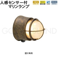 󥵡饤   ɱ ʹ󥵡饤 ؾ   LED ޥ ޥ饤  BH1000 LOW AN FR LE SL LED 100V ŵ忧 ꥬ饹 ſ ֥饦      