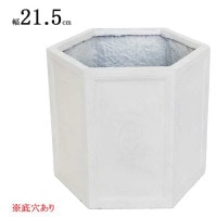 ȭ ץ󥿡  ȭ إݥå 5 white ۥ磻  ϻѷ 21.5߱18.5߹⤵18 ȭ ꤢ ǥ˥   ٥ ƥ饹 ȥ ̣ ФΤ餷