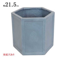 ȭ ץ󥿡  ȭ إݥå 5 natural blue ֥롼 ϻѷ 21.5߱18.5߹⤵18 ȭ ꤢ ǥ˥   ٥ ƥ饹 ȥ ̣ ФΤ餷