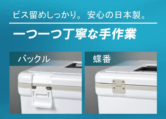 顼ܥå 緿  ۥǡ  顼 17L 500ml14ʬ ۥ磻  ȯˢ   顼Хå ٥դ
