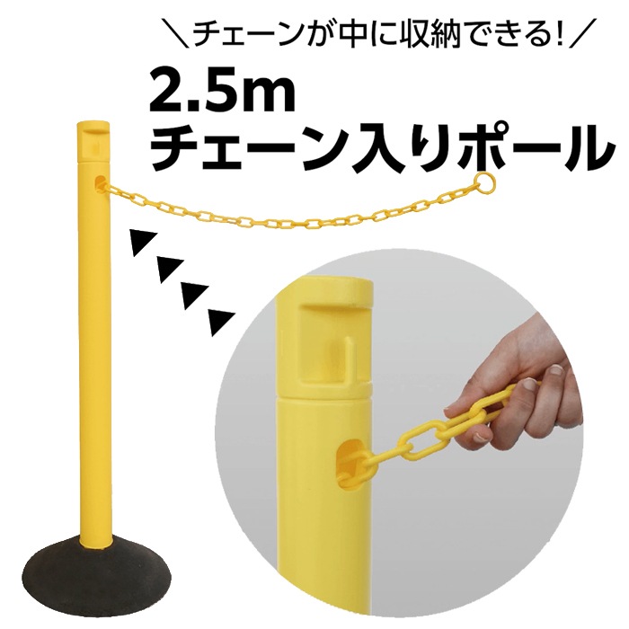 ־ ݡ 󥹥  2.5MǼ顼ݡ 10ܥå ١ ڱȤץ졼դ