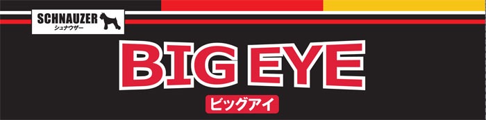 led ����� ���� �� �ӥå����� LED����� 10W �����Ӽ���ñ���� 1��ñ�� �ޥ��ͥå� ������ ����Ĵ�� Ķ�⵱�� ���� ����� �����ɥ쥹