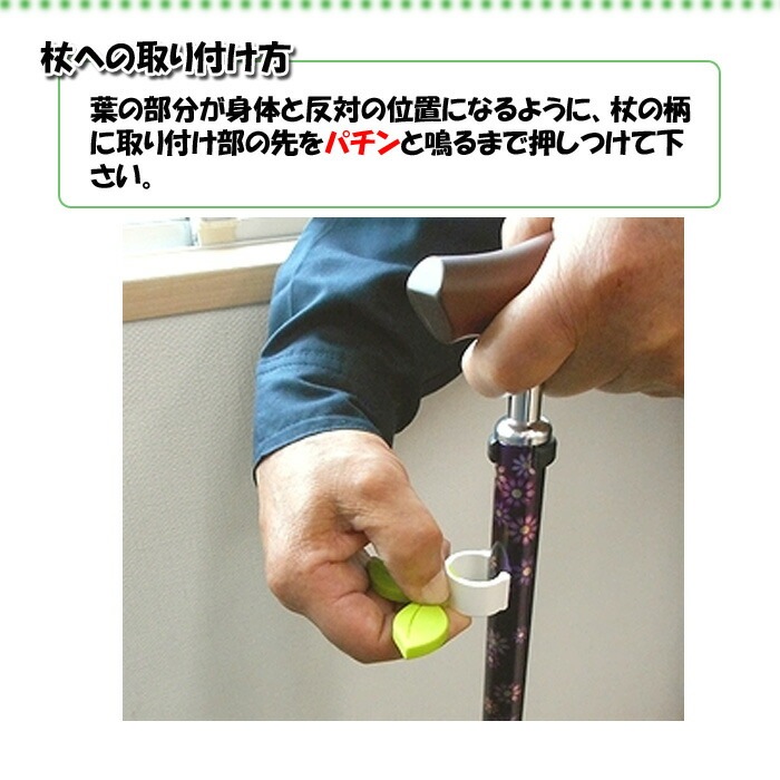  ۥ Ω ݻ ٤꡼ leaf 󥻥 å ۥ žɻ ѥ   Ω  Ĥ ƥå    Ϸ £ʪ ץ쥼