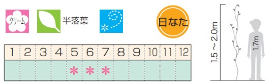 ФΥƥ ĥʪ  ۤ򡦲 褷  Ĥ 