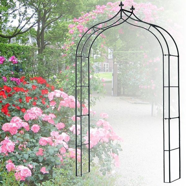 Х  ǥ󥢡01 Ω ХĤʪȤΰΤԤäʥ