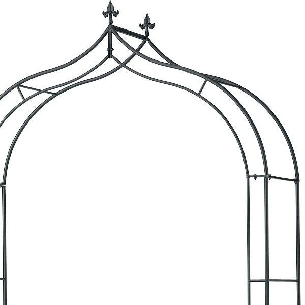 Х  ǥ󥢡01 Ω ХĤʪȤΰΤԤäʥ