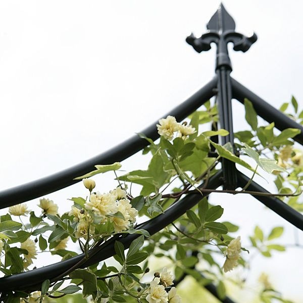 Х  ǥ󥢡01 Ω ХĤʪȤΰΤԤäʥ