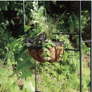 Х  ǥ󥢡01 Ω ХĤʪȤΰΤԤäʥ