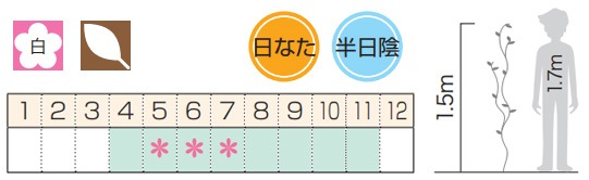 �ФΥ����ƥ� �ĥ�����ʪ ���塞��ߡʴ����ߡˡ��ࡼ��饤�ȡ������ �֥��å� �г� ���դĤ�������