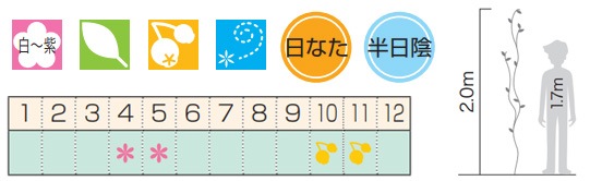 �ФΥ����ƥ� �ĥ�����ʪ ���(��� ���ڱ�) ������� ���褷 ���Ѳ� �̼� ���ФĤ�������