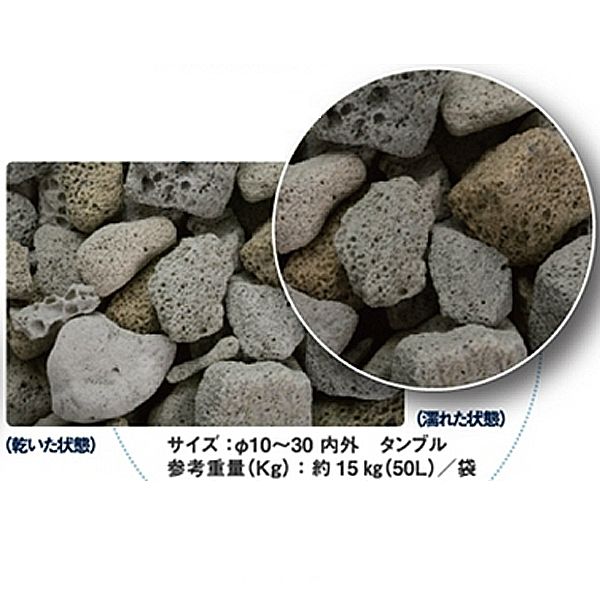 ���� ����  ��ͷ����� ��ʿ���᡼�ȥ�ʬ50��åȥ� G���ȡ��� ���Ⱥ������礭�ʲ���ť�������  ������̤���