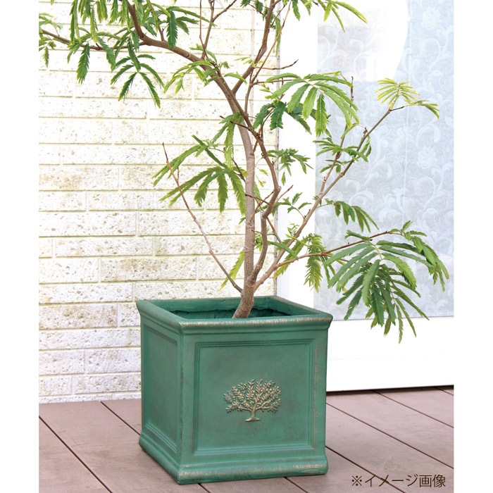 �ץ�󥿡� ����ȭ ������� ȭ���� �ͳ� ���������ݥåȥե��쥹�� 6��ݥå� white �ۥ磻�� �� ��22�߱���22�߹⤵22 ȭ ��ꤢ�� ȭ