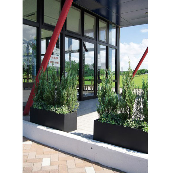 �ץ�󥿡� ����ȭ �緿 Ĺ��������ȭ �ե����С��ץ�󥿡� ���� ����� 80��30��30cm �����ǥ˥� �������