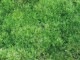���������ݡʤ�ޤ��� �ͥåȥޥåȡ� �Ф���� ���祻�å� ���� ���� ����