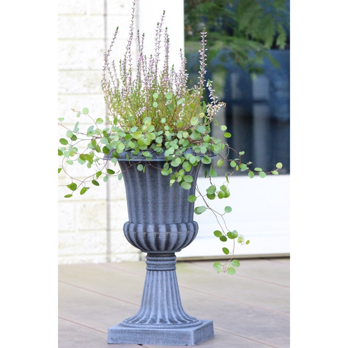 �ץ�󥿡� ������� ȭ ����ȭ �����ޥݥå� L �֥饦�� �㿧 or �֥�å� �� ľ��30�߹⤵50cm 1��ñ�� �ץ饹���å��Ǻ� ����ƥ����� �衼���åѡ� ���� ȭ ��ꤢ�� ȭ �����ǥ˥� ���� �󤻿��� ��ݱ������ �� �� �� �� ���襤�� ȭ ���ե� £��ʪ