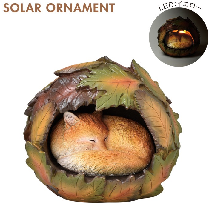 顼饤   ǥ饤 LED 顼ʥ ĥ 󥵡   