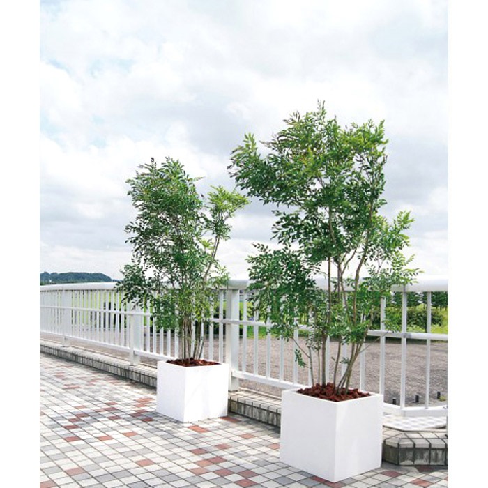 プランター 植木鉢 大型 ファイバープランター ベータ 55 55 55cm ガーデニング 園芸用品 プランター 植木鉢 大型 ファイバープランター ベータ 55 55 55cm ガーデニング 園芸用品