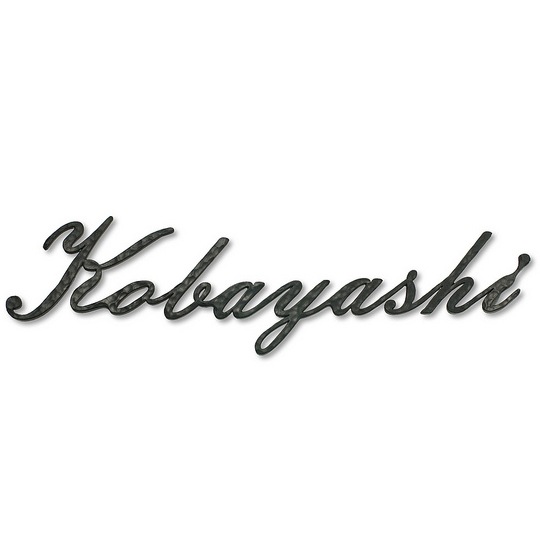 表札 アイアン アイアン表札 表札 戸建 表札 A2タイプ 叩き仕様