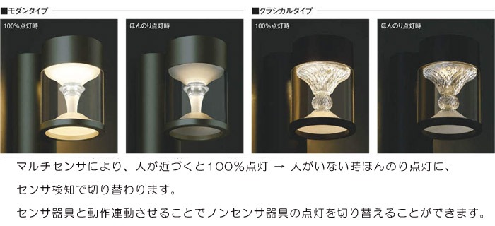 ǥ饤 ݡ  LEDη Ǯ60W ɱ Ͼ650 ॷС 