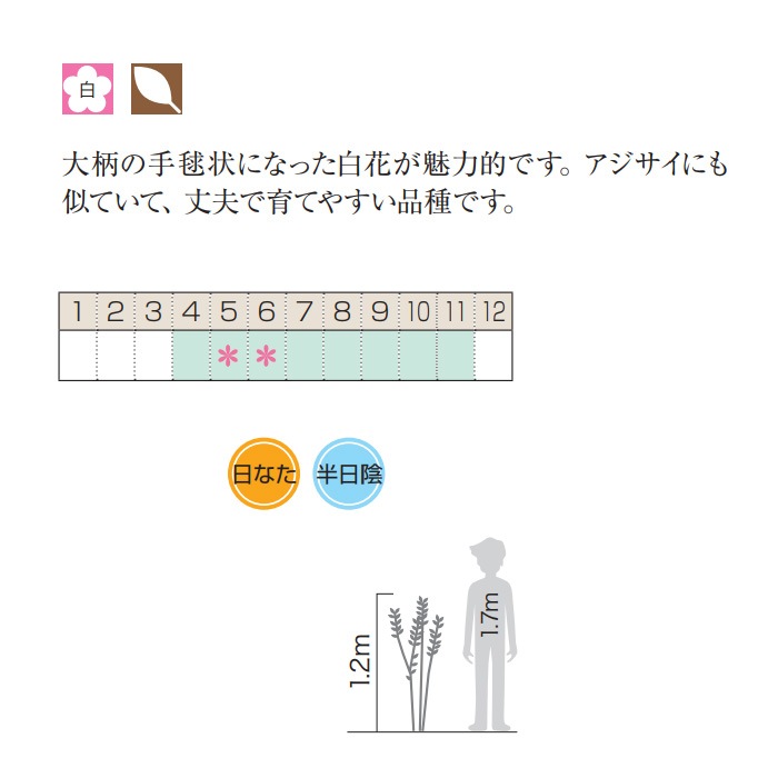 �����ǥޥ�(���� �ƥޥ�Х�)��� ���� ���� ���� ���� ��������