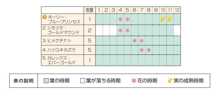 �֥꡼�� �֥롼�ץ�󥻥� ���ʤ� Ⱦ���� ���åȥ��åץ����ǥ� ���� �� ���� ���åȾ���