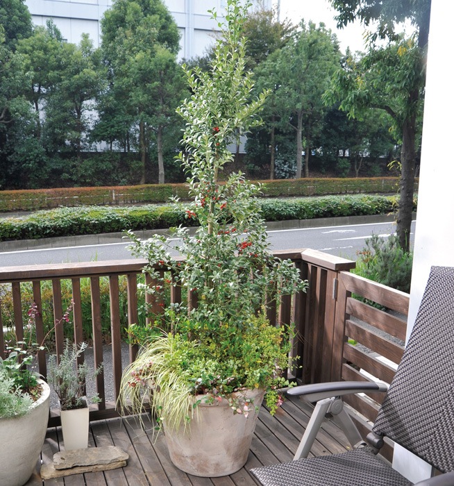 �֥꡼�� �֥롼�ץ�󥻥� ���ʤ� Ⱦ���� ���åȥ��åץ����ǥ� ���� �� ���� ���åȾ���