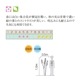 �ӥС��ʥࡦ�ƥ��̥��ʥȥ��塞�ޥ��ߡ� ��� ���� ���� ���� ���� ���� ��������