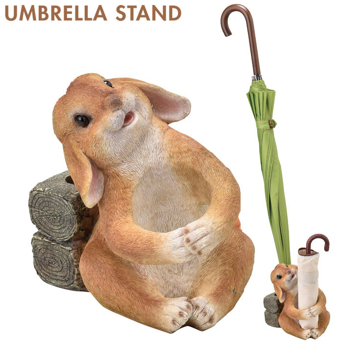 Ω Ω 3ܻΩ ӥå İ  Ź ǥ˥󥰻 ˤ ۽ˤ £ʪ