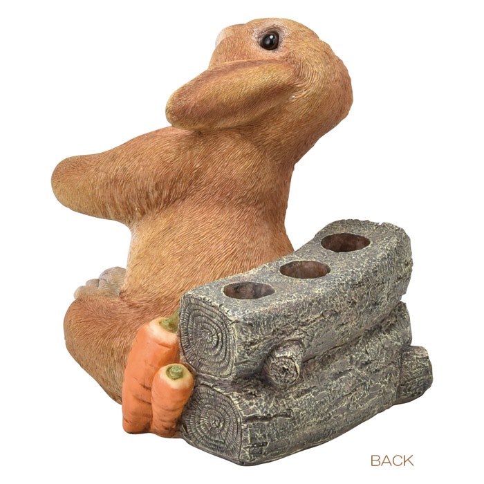 Ω Ω 3ܻΩ ӥå İ  Ź ǥ˥󥰻 ˤ ۽ˤ £ʪ