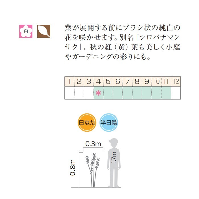 եåޥ衼ʥХʥޥ󥵥      