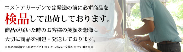 ��־� �ݡ��� �������� �ե��� �������󥹥���� ��־�ݡ��� ��������ݡ���  ������������� �ۥ磻�� ��������  2�ܥ��å�