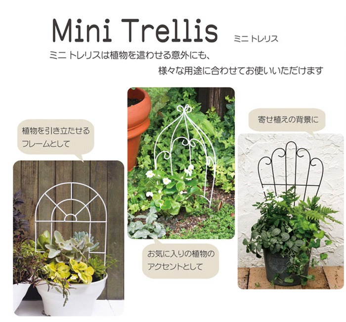 ե    ȥꥹ   17ߥ˥ȥꥹ  ۥ磻  25߱4߹⤵40cm 8cm 1ñ ǥ˥󥰥ե ƥ ǥ˥󥰥֥ Х åХ ݥե ťե ¤ ǥ˥