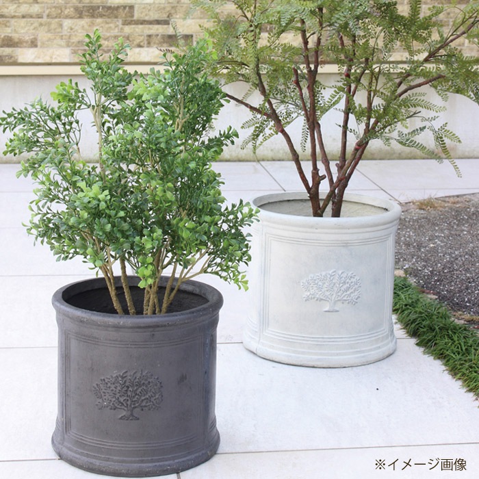 プランター 植木鉢 おしゃれ 鉢植え 丸型 円柱 ラウンドポットフォレスト６号ポット White 白 直径