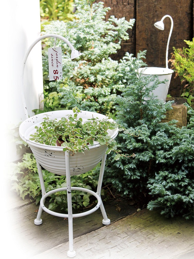 �ץ�󥿡� ����ȭ �����ǥ�ץ�󥿡�ľ��19.5cm �����Х��å� �ۥ磻�� ����ꤢ��� �������� ȭ �����ʥ��� �������