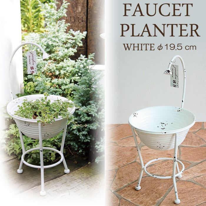 �ץ�󥿡� ����ȭ �����ǥ�ץ�󥿡�ľ��19.5cm �����Х��å� �ۥ磻�� ����ꤢ��� �������� ȭ �����ʥ��� �������