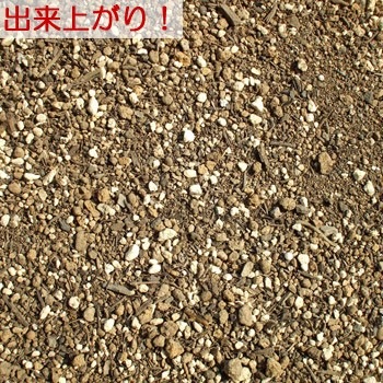�դ뤤 ������� �����ǥ˥� �ڤդ뤤 �������������� �ޤ��դ뤤 �������դ� ��ư��ž������ʬ�̴� �ڱ��