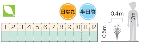 �˥塼������󡦥��ץꥳ�åȥ������� �Ѿ��� ���տ�ʪ ������ ���� ȭ����