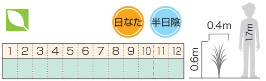 �˥塼������󡦥ѡ��ץ쥢 �Ѿ��� ���տ�ʪ ������ ���� ȭ����