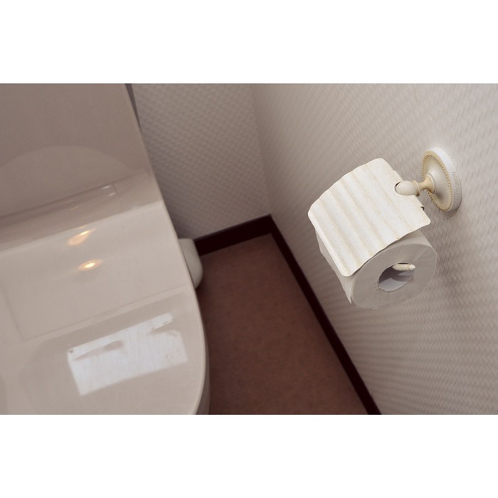 �ȥ���åȥڡ��ѡ��ۥ���� �ڡ��ѡ��ۥ���� ���˥��꡼�����ƥࡡ��PB���꡼����TPH PB ���򿧻ž夲  ����� ���������꡼ ������� �� ���� �ȥ���