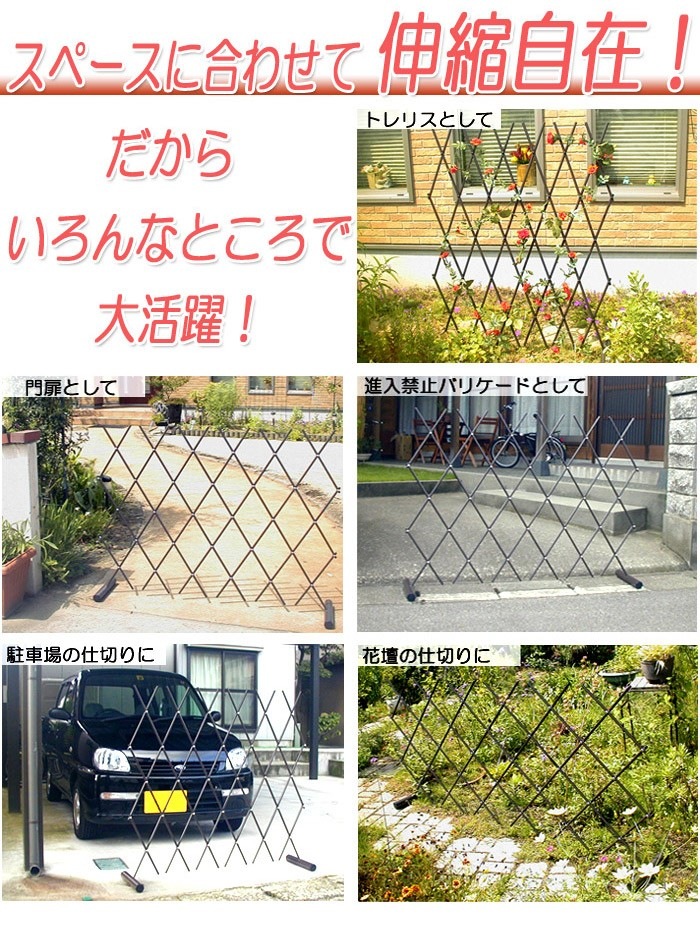 �ե��� �� ��󥿥å����̥ե��� �����������Ǿ��� �������ƥꥢ����־졦���⡦�ȥ�ꥹ��