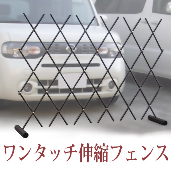 �ե��� �� ��󥿥å����̥ե��� �����������Ǿ��� �������ƥꥢ����־졦���⡦�ȥ�ꥹ��