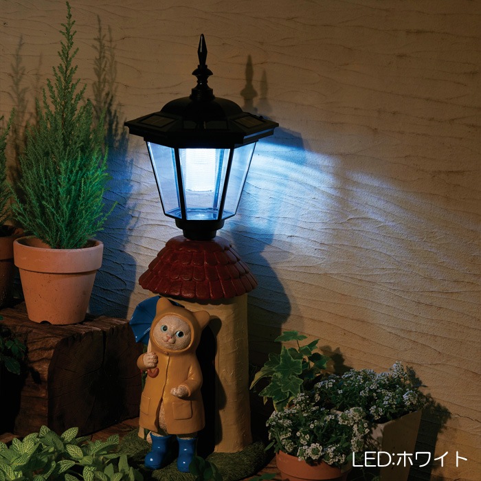 �����顼�饤�� ���� �ɱ����� ͶƳ�� LED �����ǥ�饤�� �����󥵡��� ���� �籩���夿Ω���ͥ� �����顼�����ʥ��� ��19.5�߱���21.5�߹⤵55cm 1��ñ�� ��Ω�� ���� �� ���� ����ȥ�� ���� ���� �� ������� �������