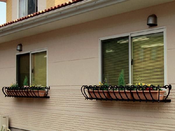 �ե��ܥå��� �ɾ��� �����������ե��ܥå�������1655 �ɾ���  ��ꤹ�� �������ʪ �������ƥꥢ ����